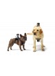 Proocam Pro-J133 Dog Fetch Harness Chest Strap Belt Mount for Gopro Hero action camera