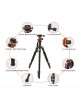 PROOCAM N-23 Professional outdoor portable camera photo video tripod monopod