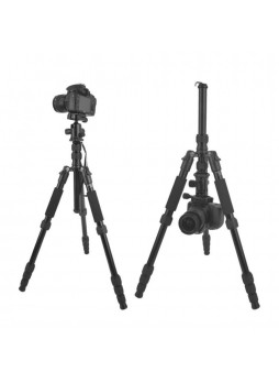 PROOCAM Q60 Camera Tripod monopod professional with Ballhead