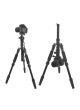 PROOCAM Q60 Camera Tripod monopod professional with Ballhead