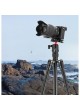 PROOCAM T-202 professional travel Tripod for DSLR camera live broadcast