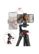 Zomei T70 Professional Aluminium Travel Adjustable Tripod with Pan video live Ball Head for Mirrorless/DSLR Camera