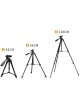 Proocam 508 portable travel tripod for Camera and smart Phone 