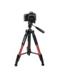 Zomei Q111 Portable Pro Camera Travel Tripod Lightweight Stand for DSLR Morroless camera RED